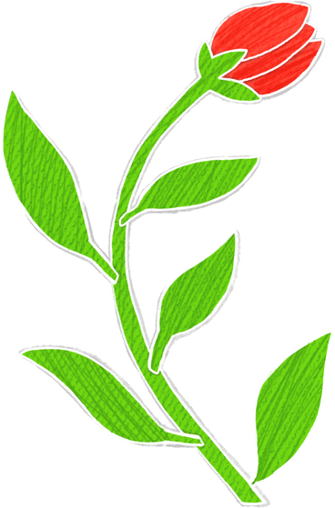 red bud on a big green stem PNG, SVG
