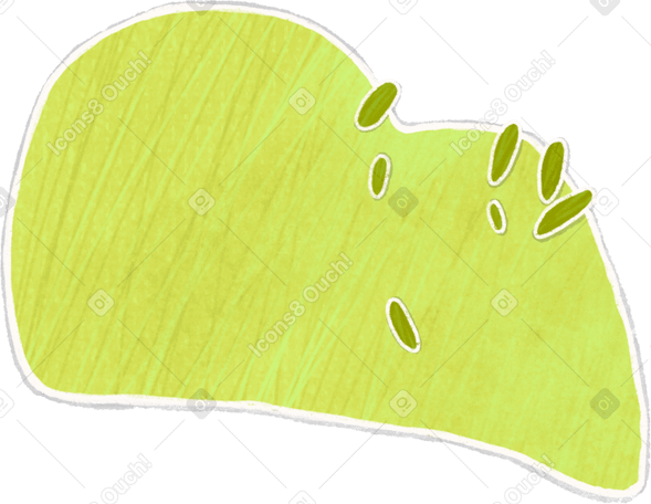 large lettuce bushes Illustration in PNG, SVG