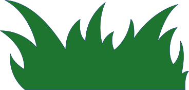 herbe PNG, SVG