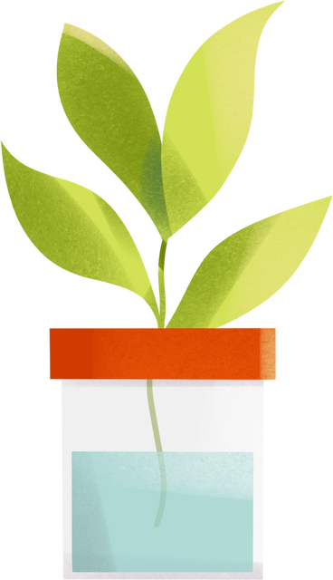 flask with plant PNG, SVG