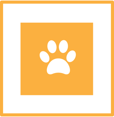 犬の足跡のある写真 PNG、SVG