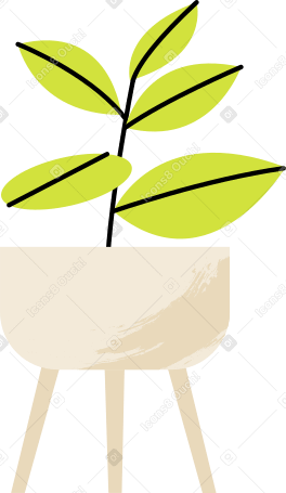 flower in a pot with legs Illustration in PNG, SVG
