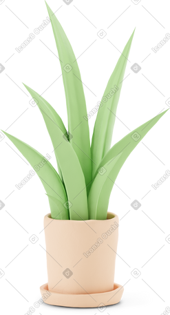 3D 米色罐的浅绿色植物 PNG, SVG