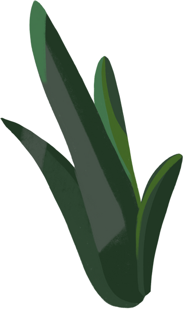 Листья в PNG, SVG