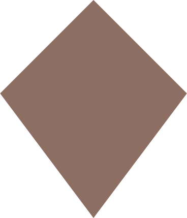 kite brown PNG, SVG