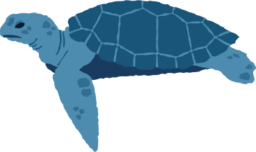 sea turtle side PNG, SVG