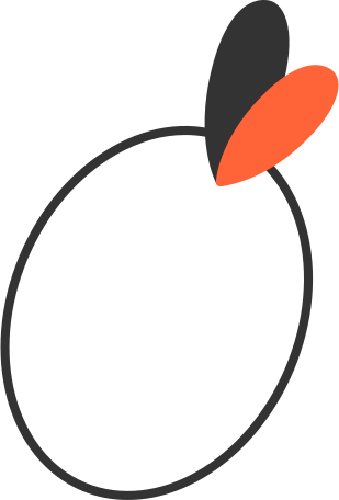 fruit Illustration in PNG, SVG