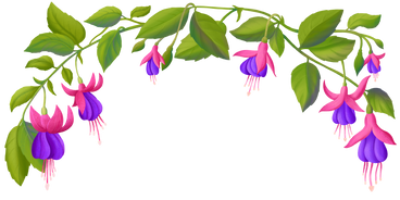 Fuchsia flowers on a branch arranged in a semicircle PNG, SVG