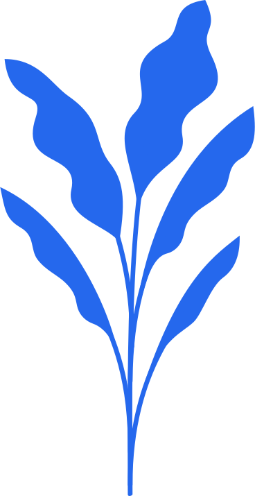 Plante PNG, SVG