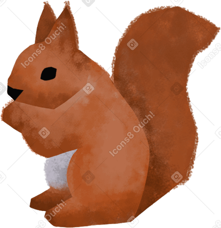 squirell Illustration in PNG, SVG