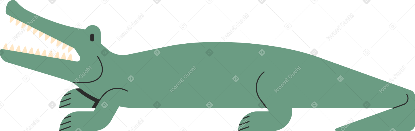 鳄鱼 PNG, SVG
