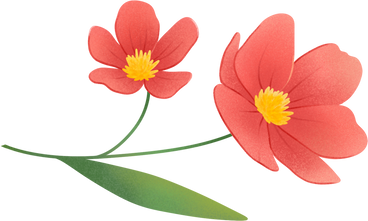 Red flowers PNG、SVG