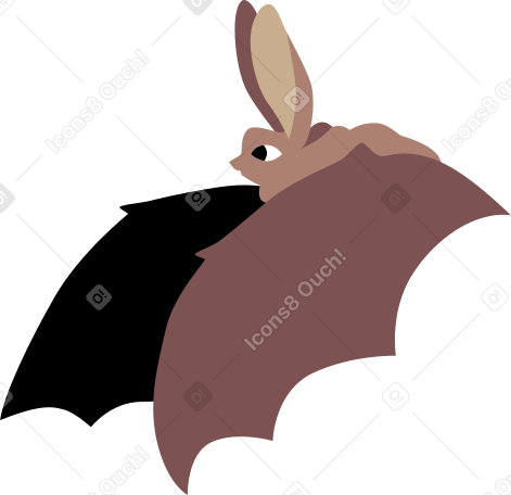 bat Illustration in PNG, SVG