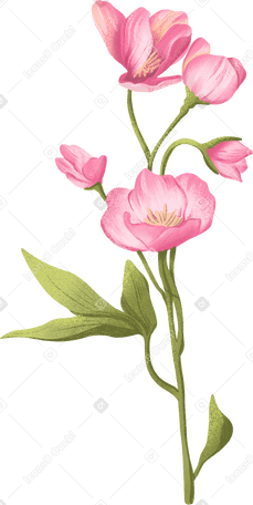 twig with cream flowers and light green leaves PNG, SVG