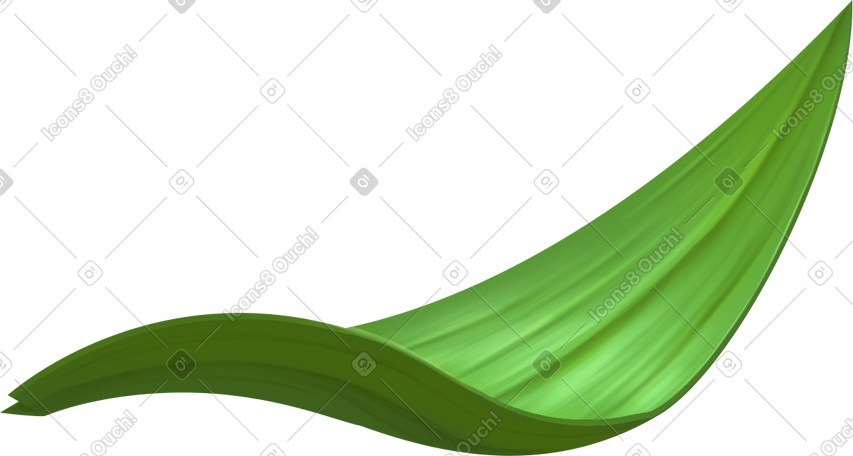 single thick grass leaf PNG, SVG