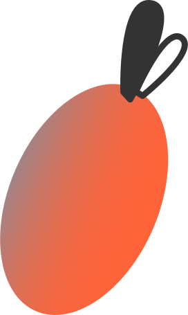 fruit Illustration in PNG, SVG