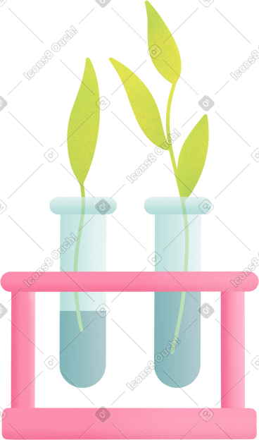 Flasks with plants PNG, SVG