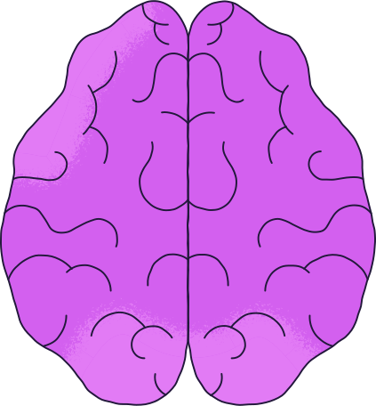 brain top Illustration in PNG, SVG