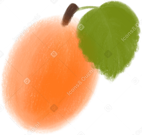apricot PNG, SVG