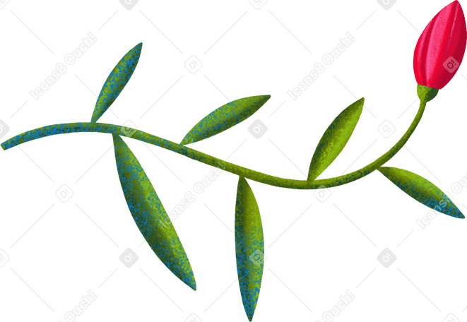 twig with green leaves and a red bud looking up Illustration in PNG, SVG