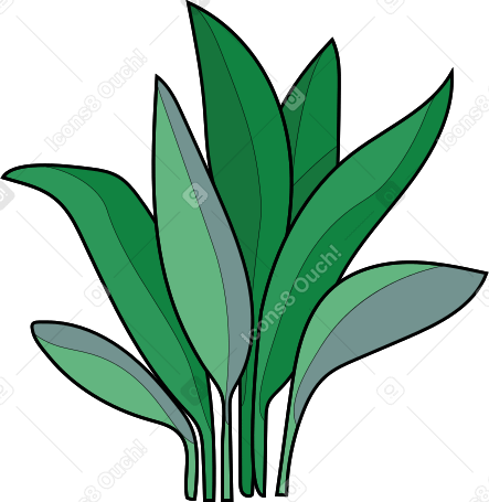 heimische pflanze PNG, SVG