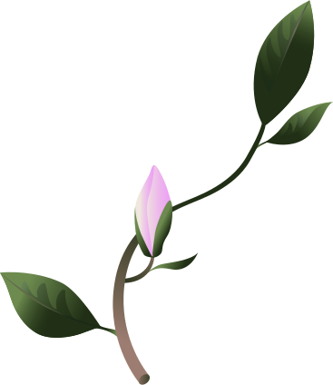 sprig of magnolia with a bud PNG, SVG