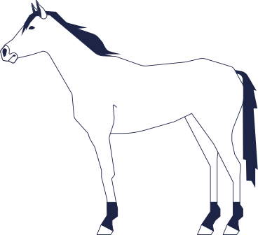 caballo PNG, SVG