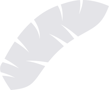 gray palm leaf PNG, SVG
