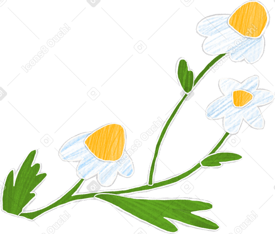 Tres flores de manzanilla en una rama con hojas PNG, SVG