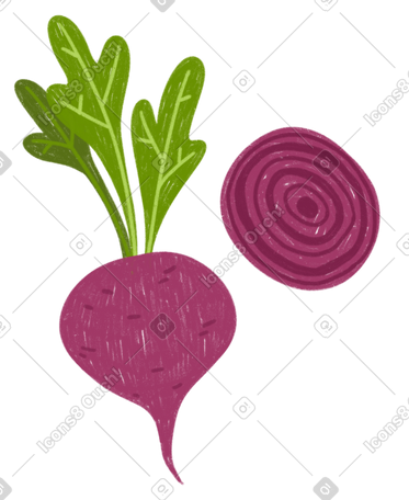 甜菜和甜菜片 PNG, SVG