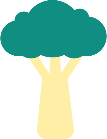 cabbage PNG, SVG