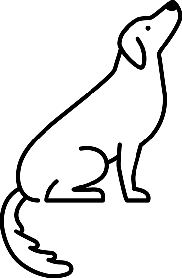 sitting retriever dog PNG, SVG