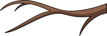 Branche d'arbre PNG, SVG