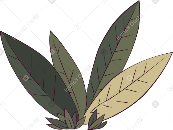 plant Illustration in PNG, SVG