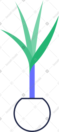 种在花瓶里 PNG, SVG