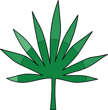 Пальмовый лист в PNG, SVG