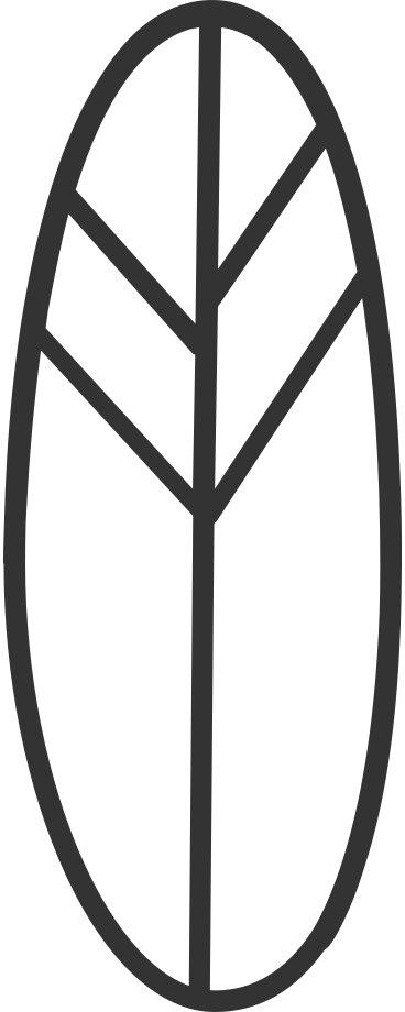 Oval white leaf with black outline PNG、SVG