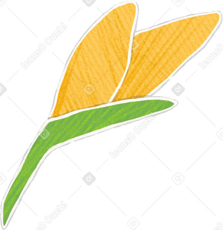 small bud of yellow daffodil PNG, SVG