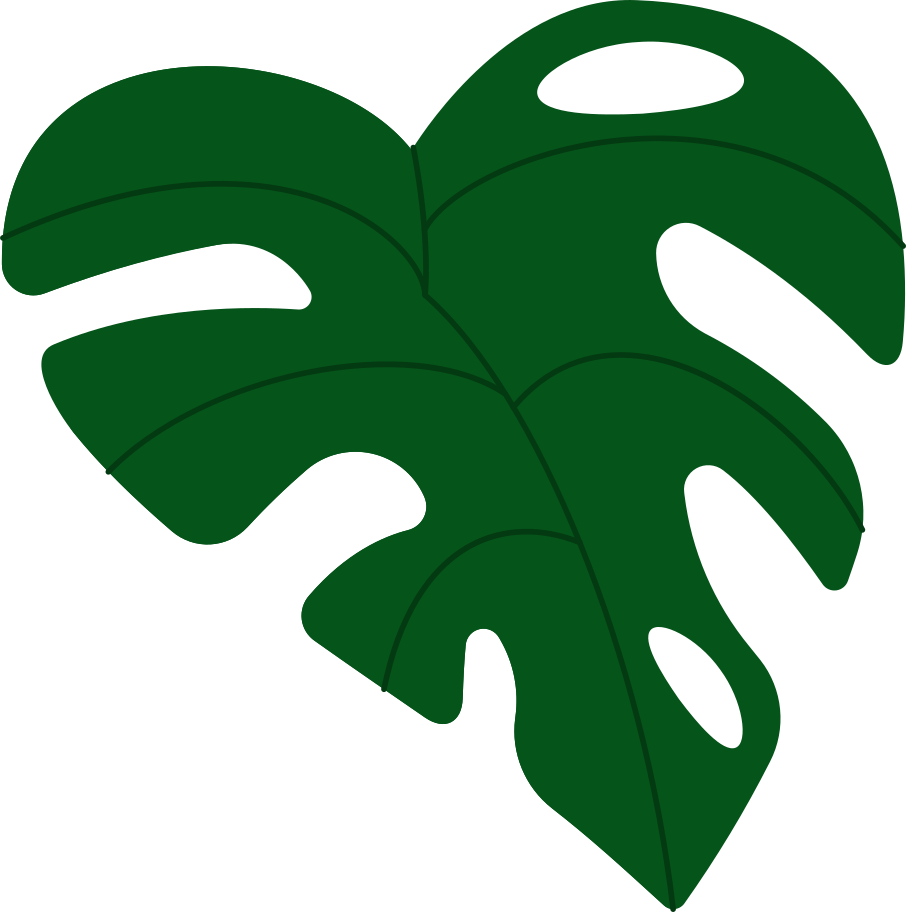 monstera leaf Illustration in PNG, SVG