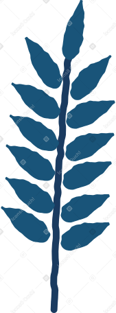 rowan leaf Illustration in PNG, SVG