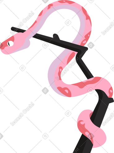 Snake on the tree PNG, SVG