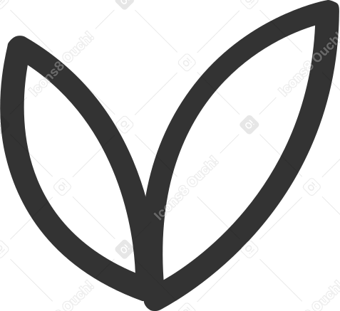 two leaves with black outline PNG, SVG