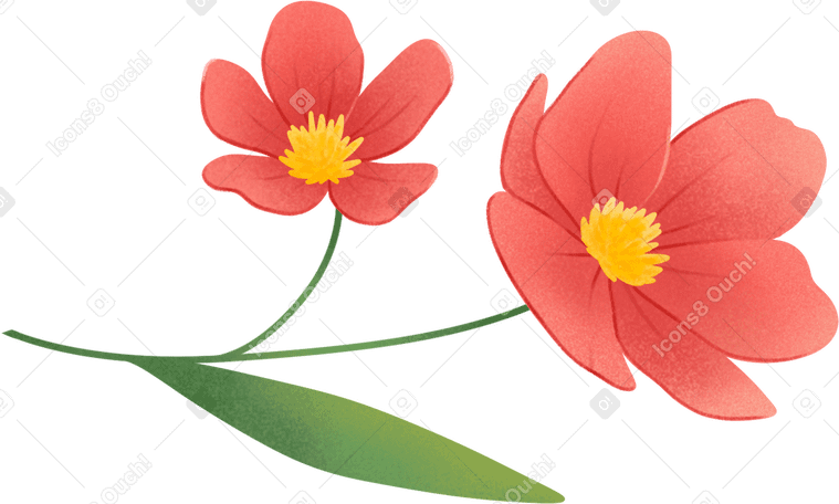 red flowers PNG、SVG