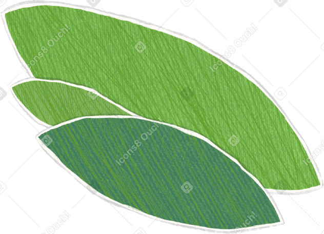 두 개의 큰 녹색 잎과 하나의 작은 녹색 잎이 서로 위에 놓여 있습니다. PNG, SVG