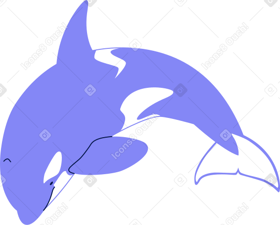 범고래 점프 PNG, SVG