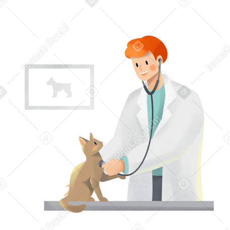 Veterinario che controlla la salute di un gatto PNG, SVG
