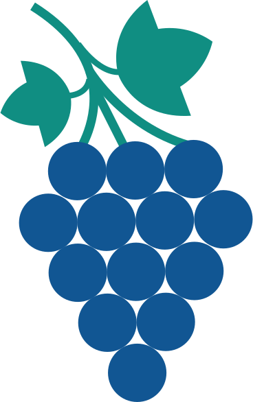 grapes PNG, SVG