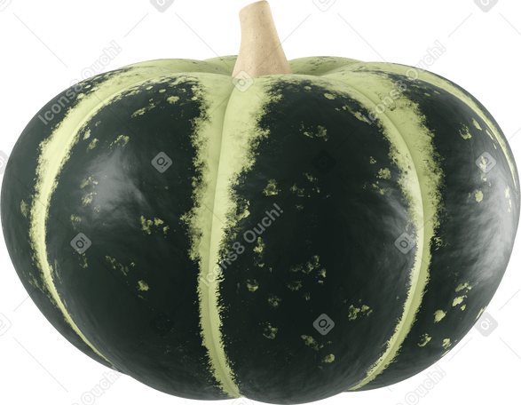 3D green pumpkin Illustration in PNG, SVG