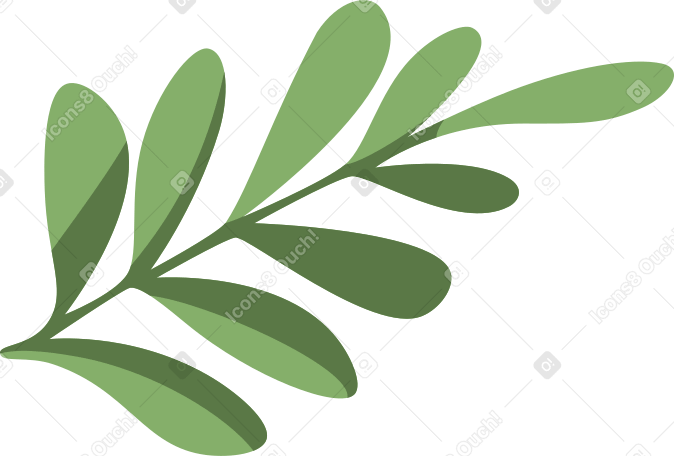 twig with green leaves в PNG, SVG
