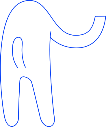 Body PNG, SVG
